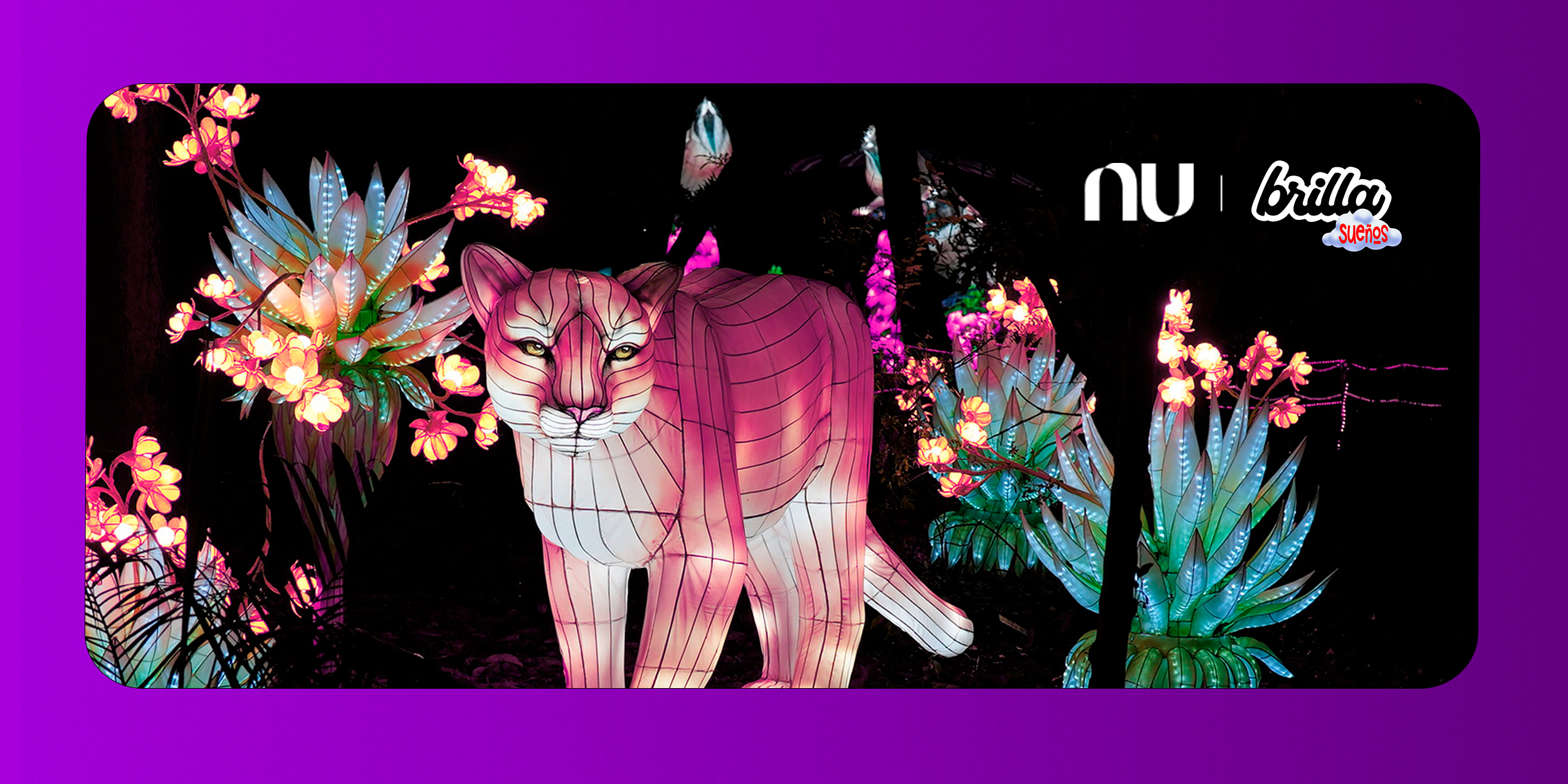 Fotografía del Festival Brilla 2025: la magia de la Navidad llega con Nu