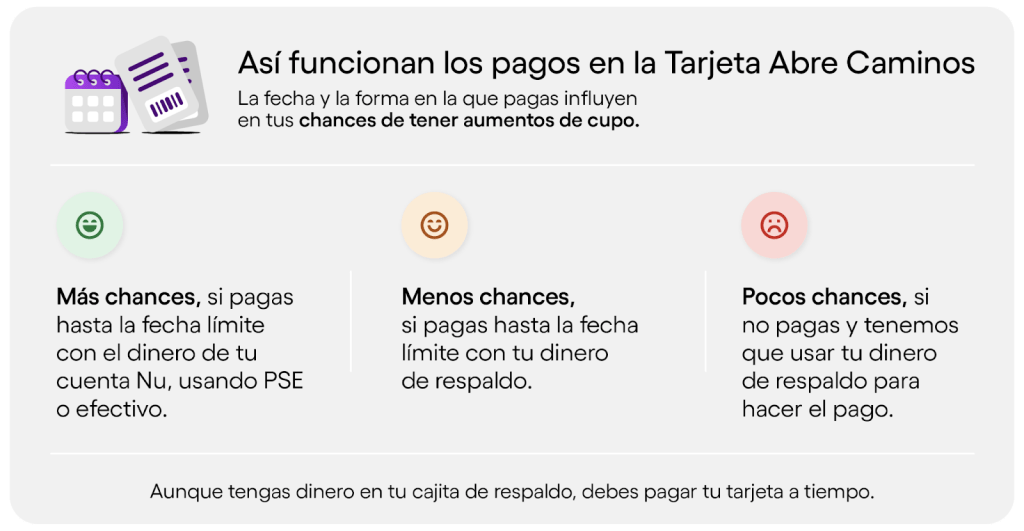 Infografía de como funcionan los pagos en la Tarjeta Abre Caminos