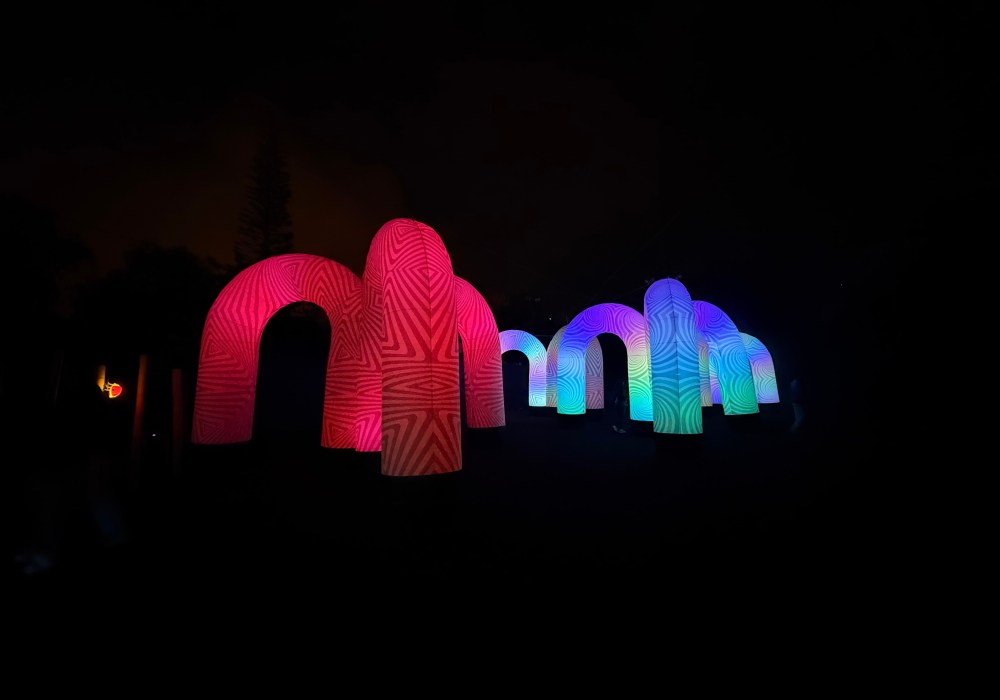 Festival Brilla 2025: la magia de la Navidad llega con Nu Foto del Festival Brilla 2025 la magia de la Navidad llega con Nu