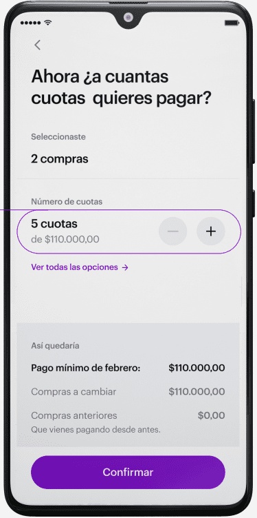 Imagen de revisión de pago mínimo